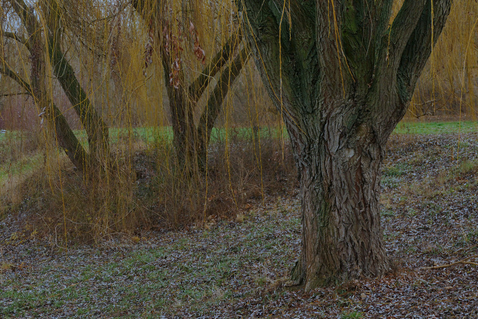 P1220977 bearb.jpg