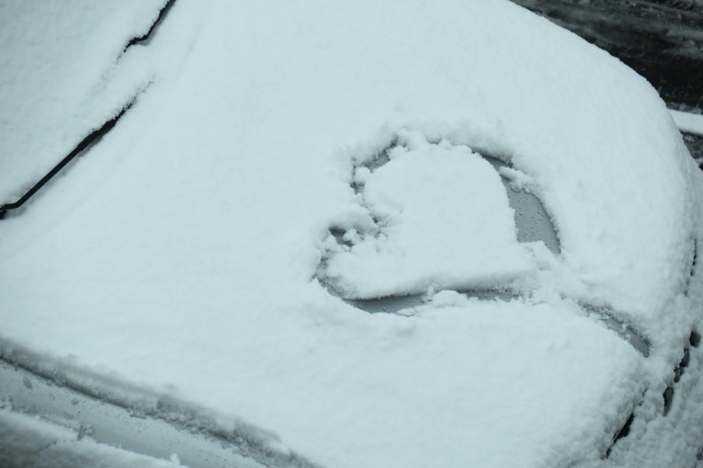 Neuschnee_1.JPG