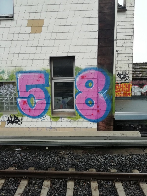 58.jpg