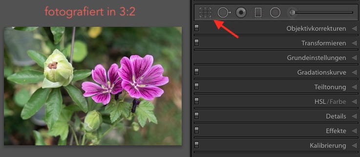 Bildschirmfoto 2019-02-18 um 19.57.54.jpg