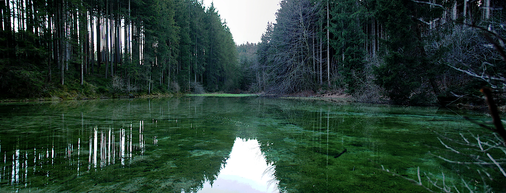 SmaragdImWald_pano_1000px.JPG