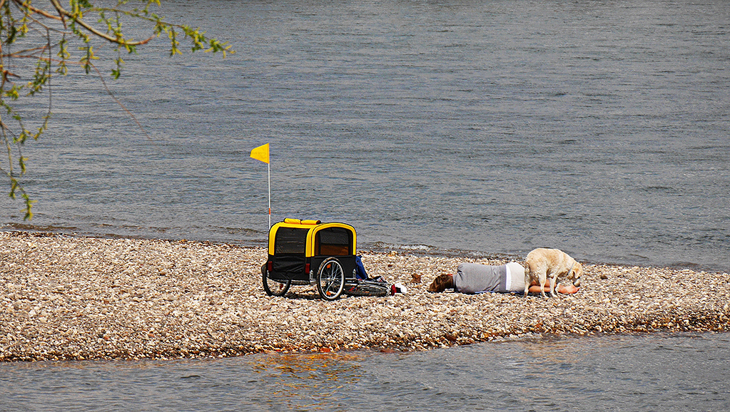 Rhein.jpg