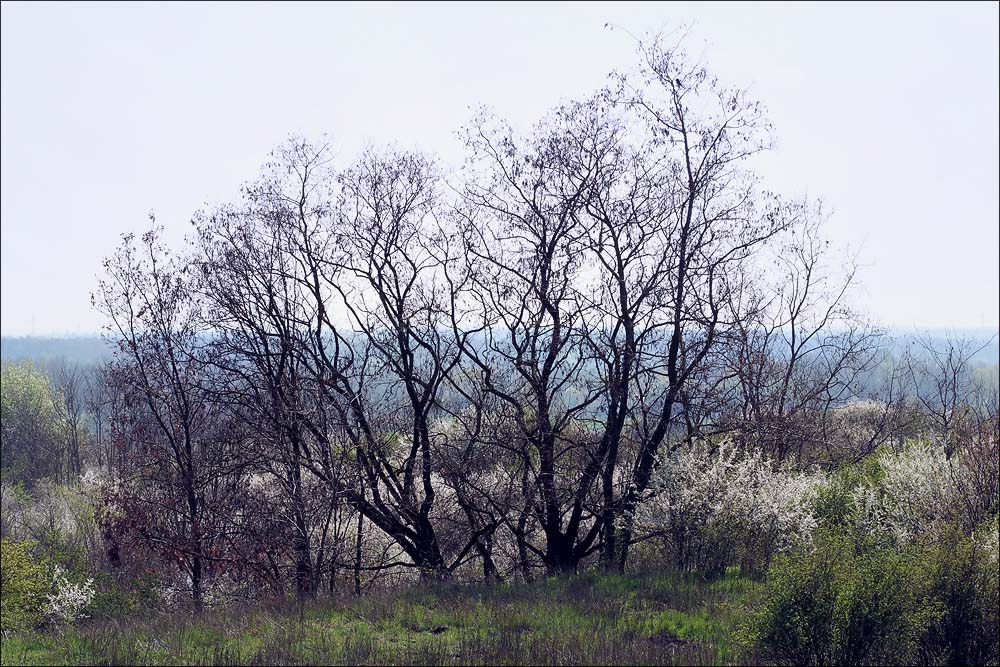 naturwacht_07.jpg