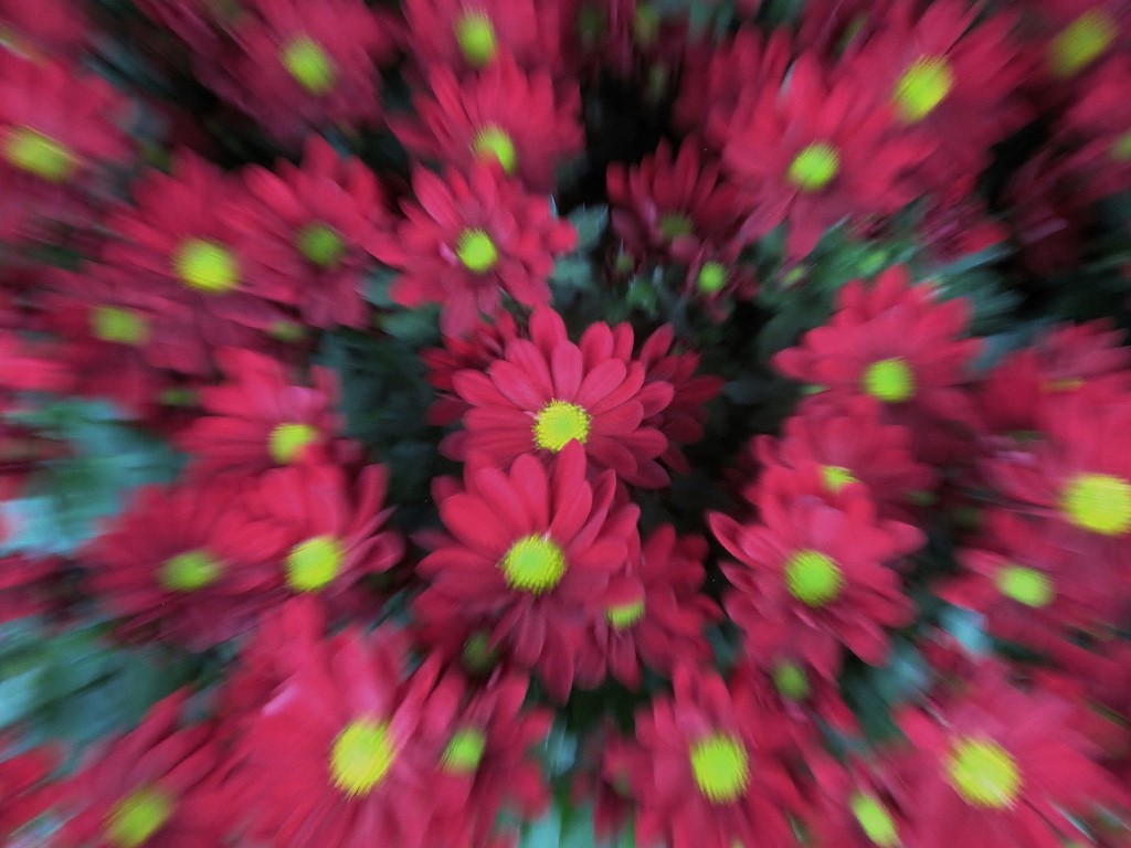 Margeritte_1.JPG