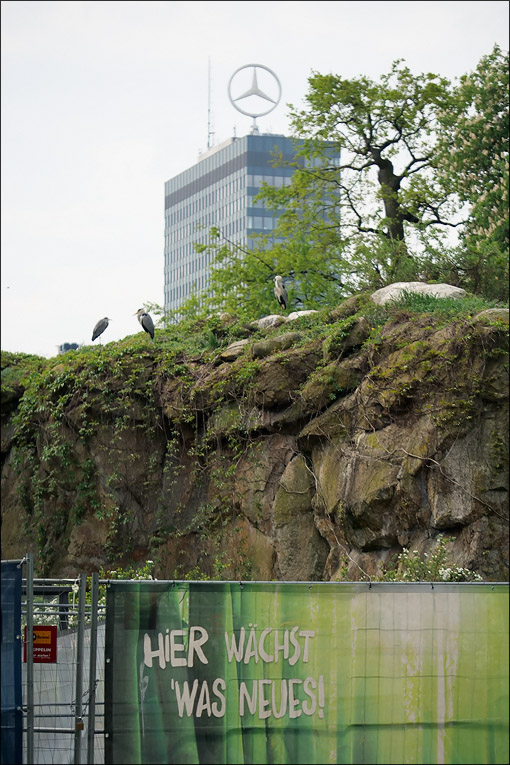 zoobesuch_dslr_1.jpg