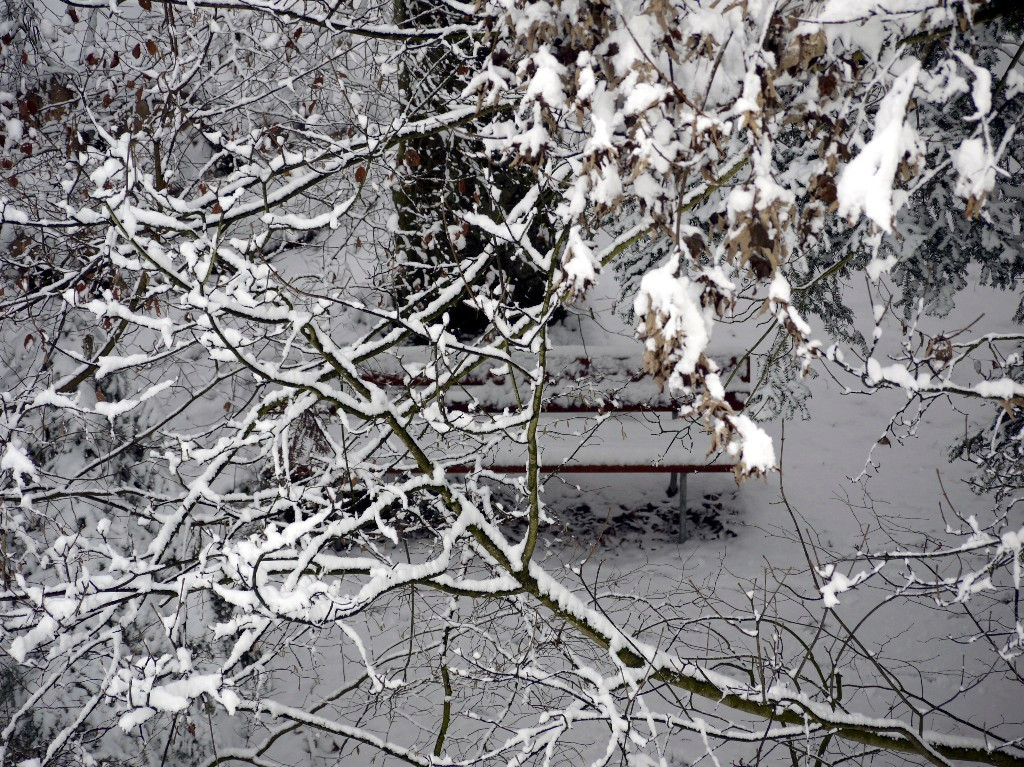 Bank im Wald.jpg