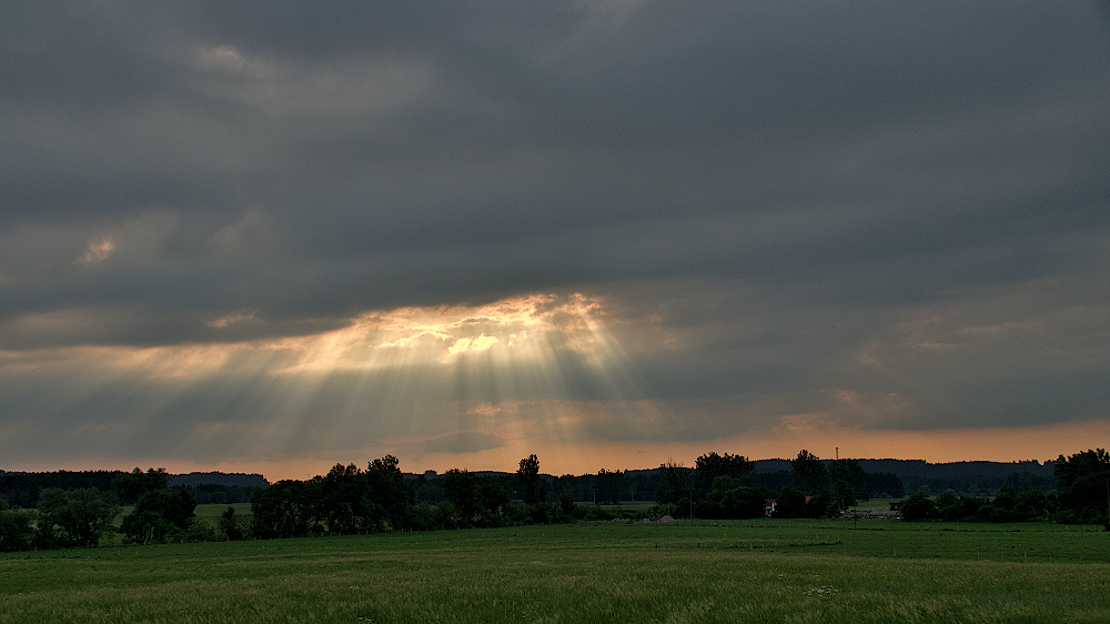 Abendlicht_Juli2019_01_1000x562px.JPG