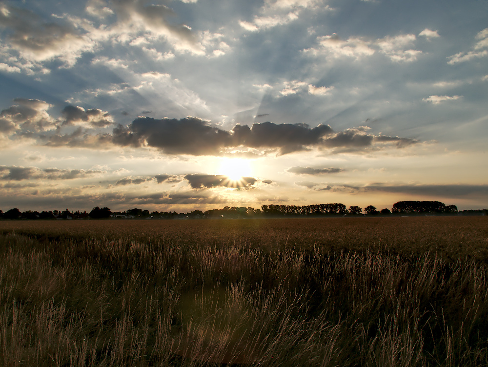 Morgenlicht_Juli2019_02_1000x752px.jpg