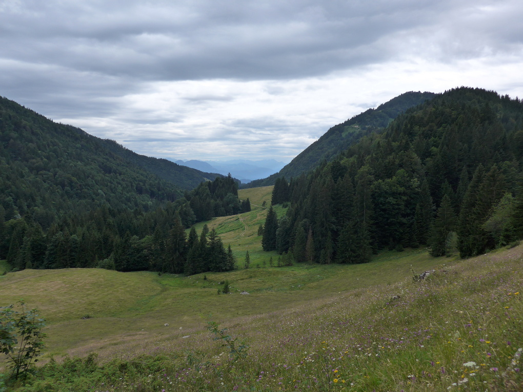 P1010291lf.JPG