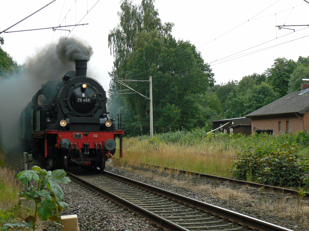 B8-Bokelholm-2011-07-09-003.jpg