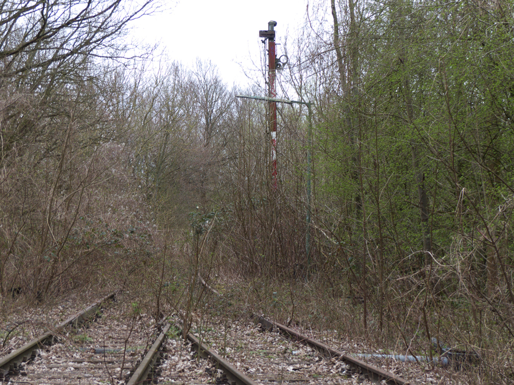 L13-Luetjenburg-2017-04-08-012.jpg