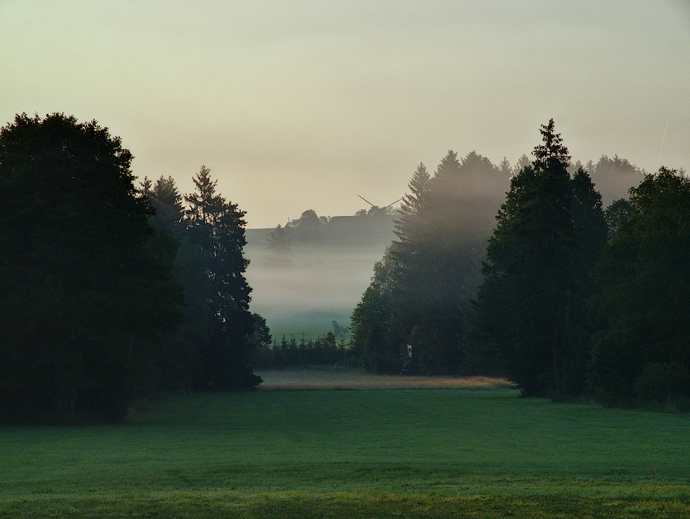 Morgenlicht_Juli2019_03_1000x752px.JPG