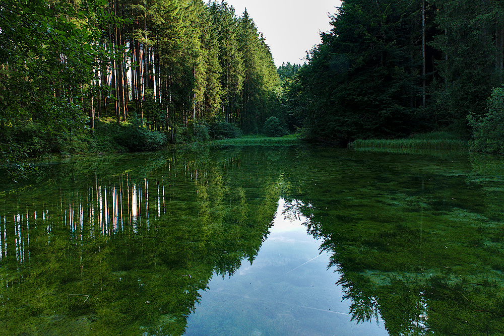 Eisweiher_Juli2019_01a_1000x667px.JPG