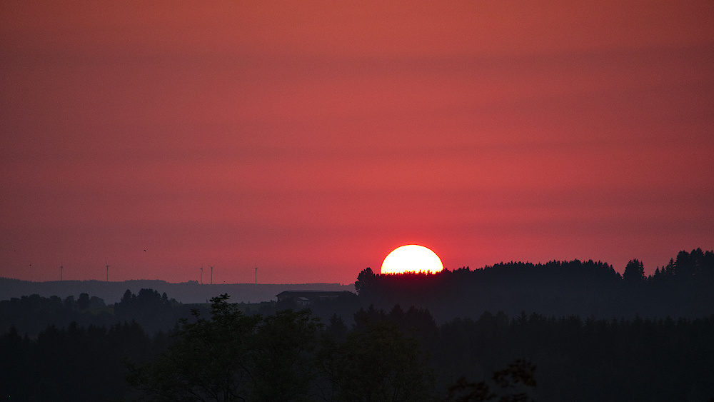 BlickAusDemFenster_Juni2019_02_1000x563px.JPG