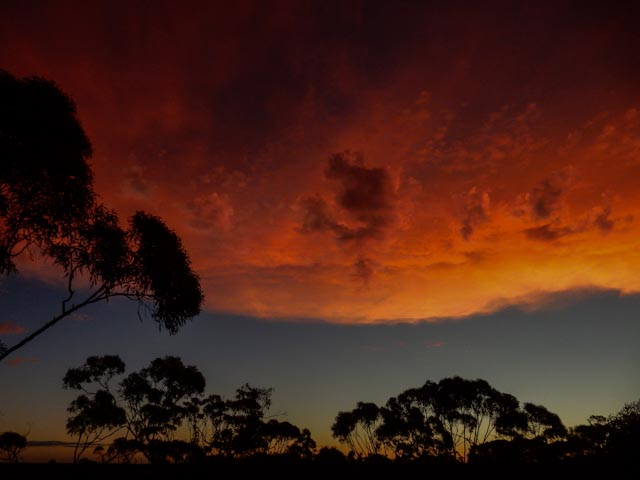 164_Laverton nach Kalgoorlie_013_20170107_DSCN1522.jpg