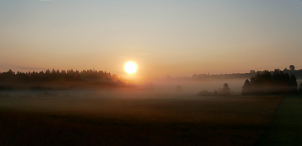 Morgenlicht_Juli2019_02_1000x485px.JPG