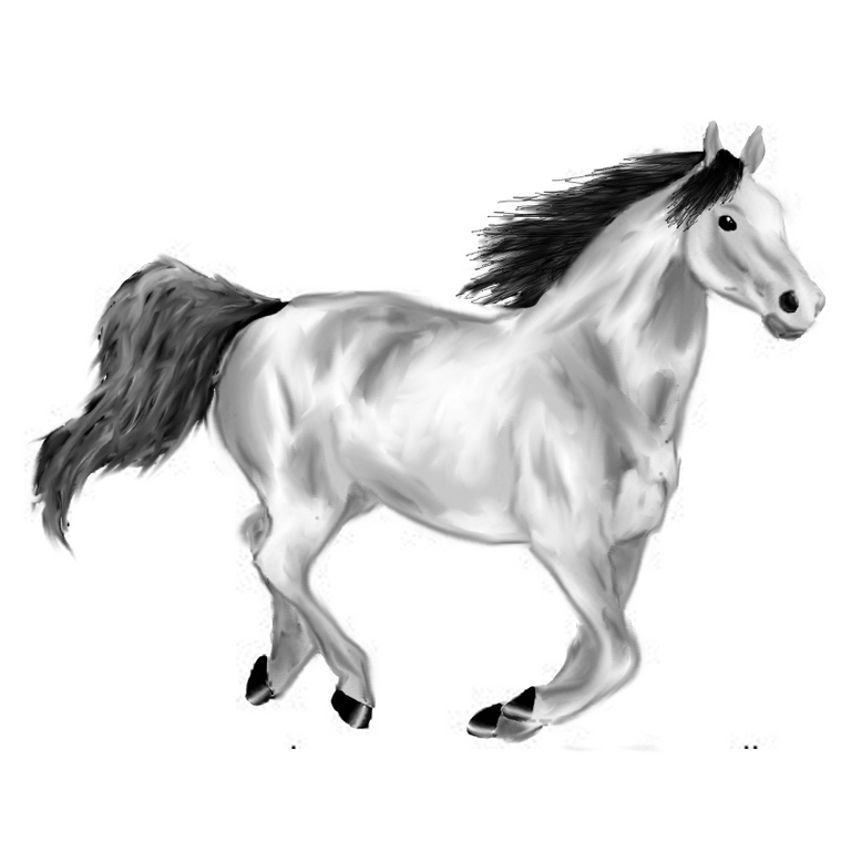 Pferd.jpg