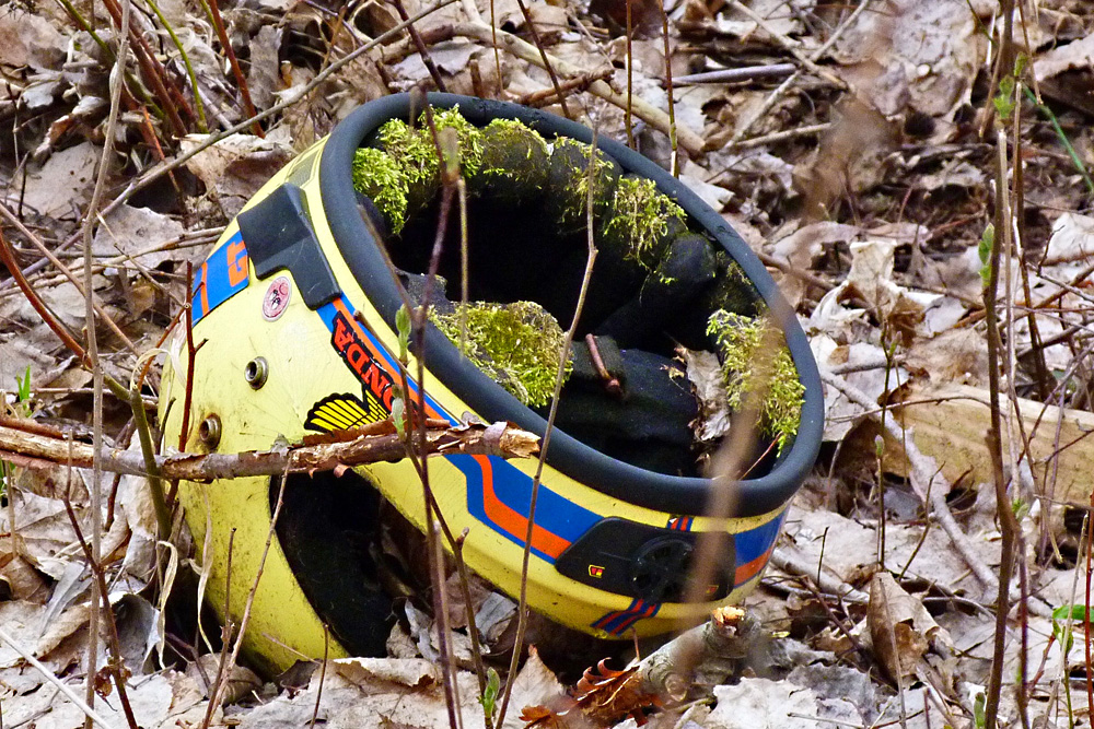 Motoradhelm mit Moos.jpg