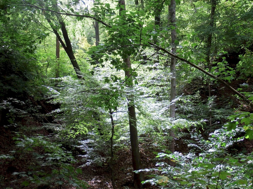 DSCF69210.JPG