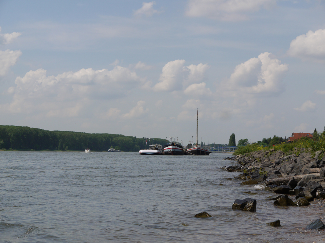P1230109.jpg