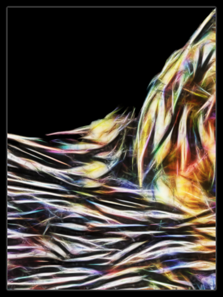 Wellenbrecher verkleinert.jpg