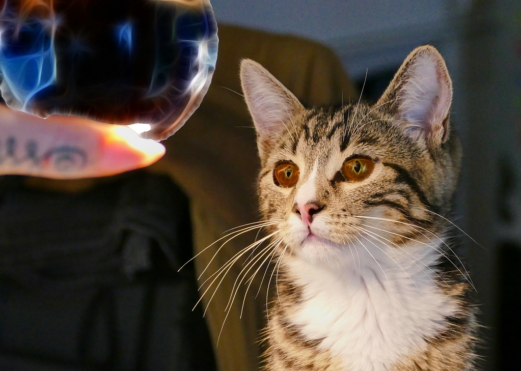 comp_P1000064a fractal.jpg