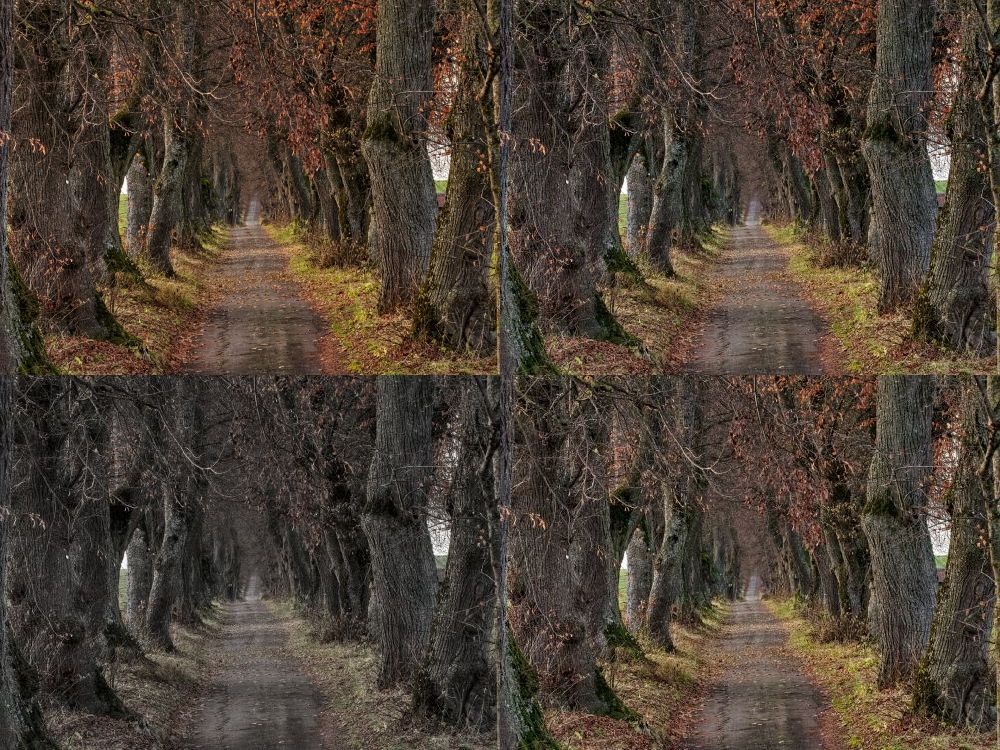 Luminar4_Landscape-presets.jpg