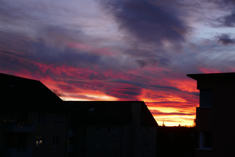 P1170343-2.jpg