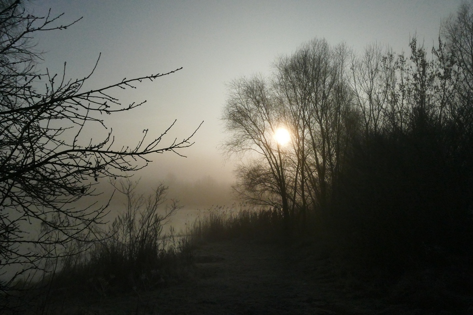 P1150965 verkl.JPG