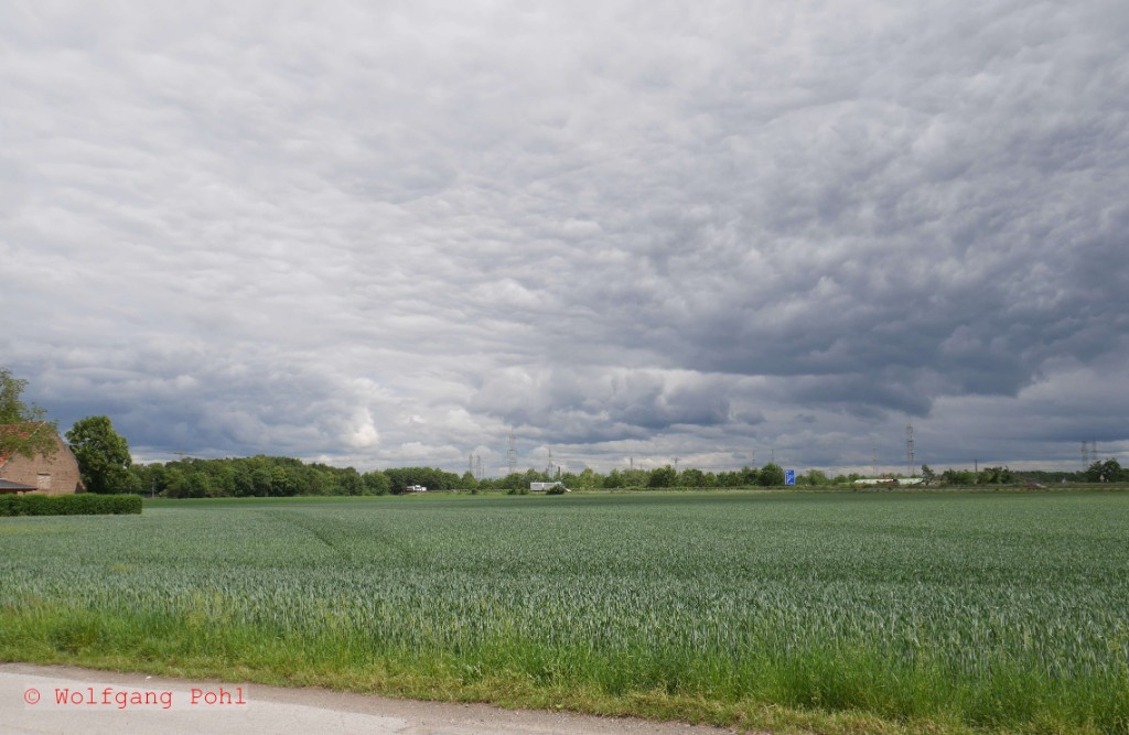 P1020709 (2).JPG