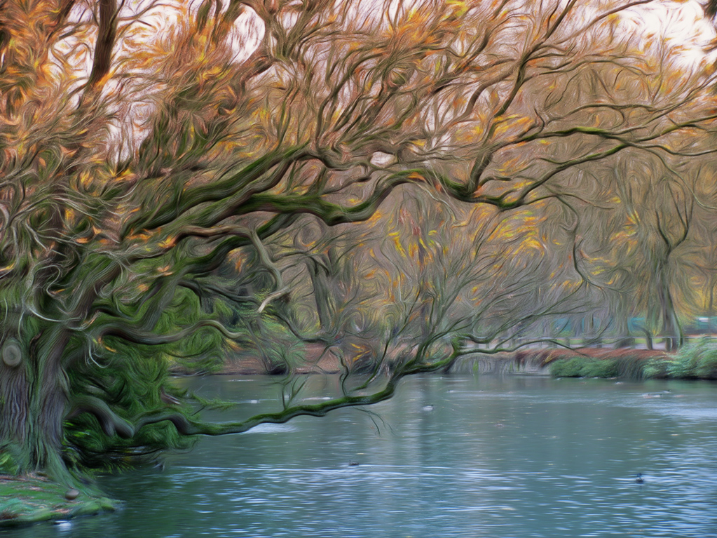 baum-mit-wasser-in-oel.jpg