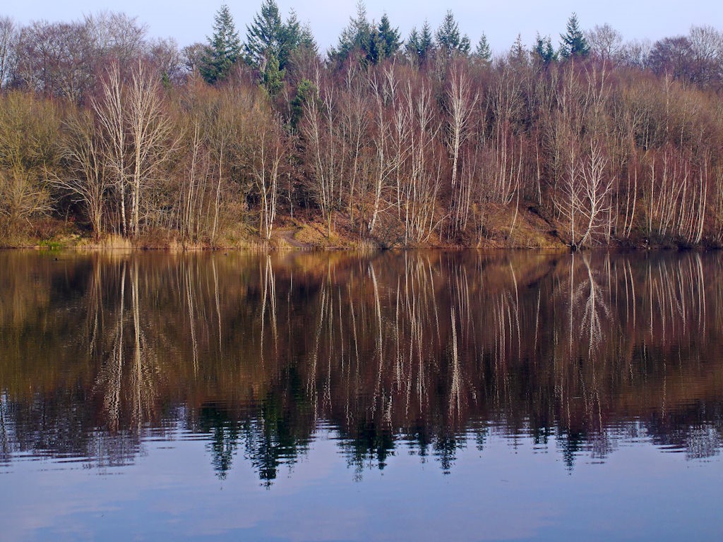 Am Wasser.JPG