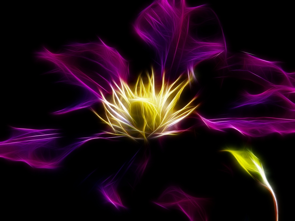 fract-Clematis 1  kl.jpg