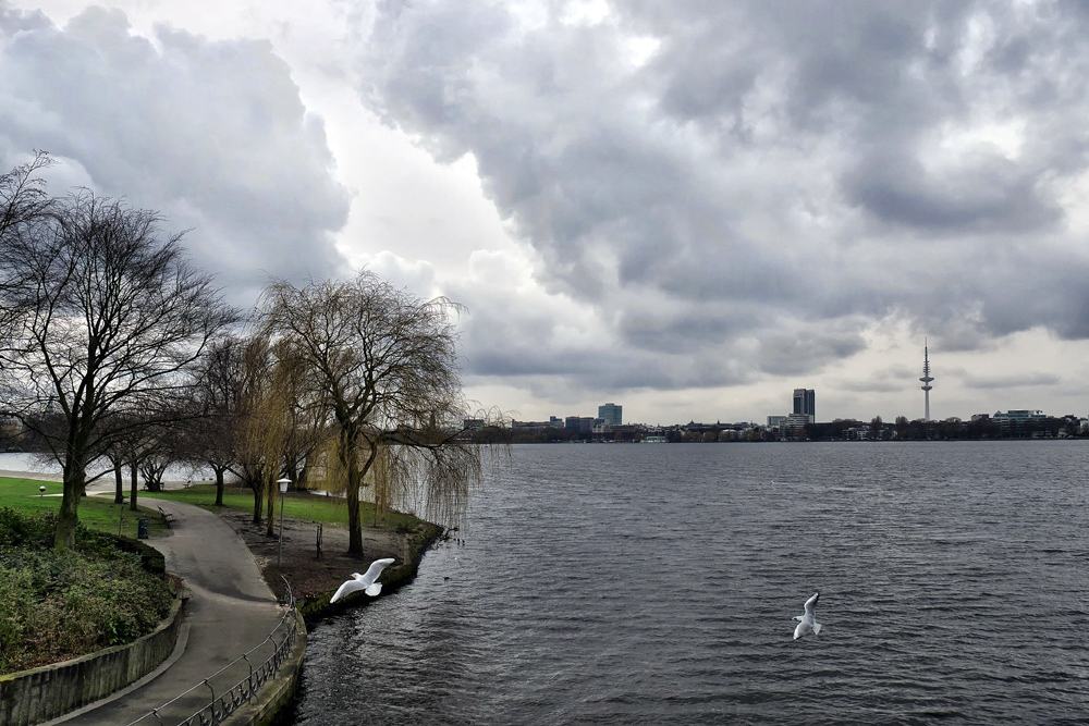 27_02_Hamburg_Schwanenwikbrücke_Außenalster .jpg