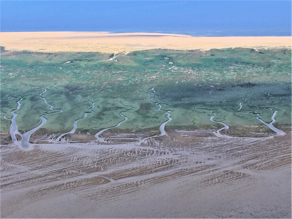 Wattenmeer 1.JPG