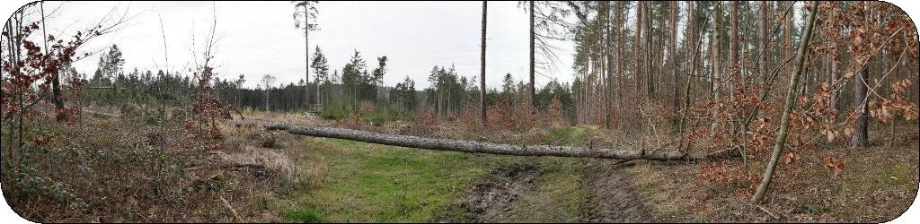 G-P1050839 - G-P1050842.jpg