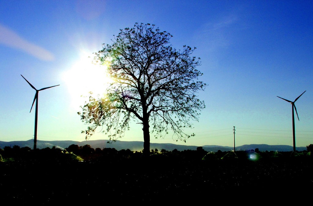 Sonnenuntergang 11_1.JPG