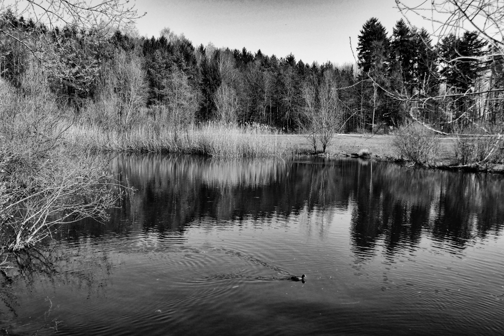 P1180681-Bearbeitet.jpg