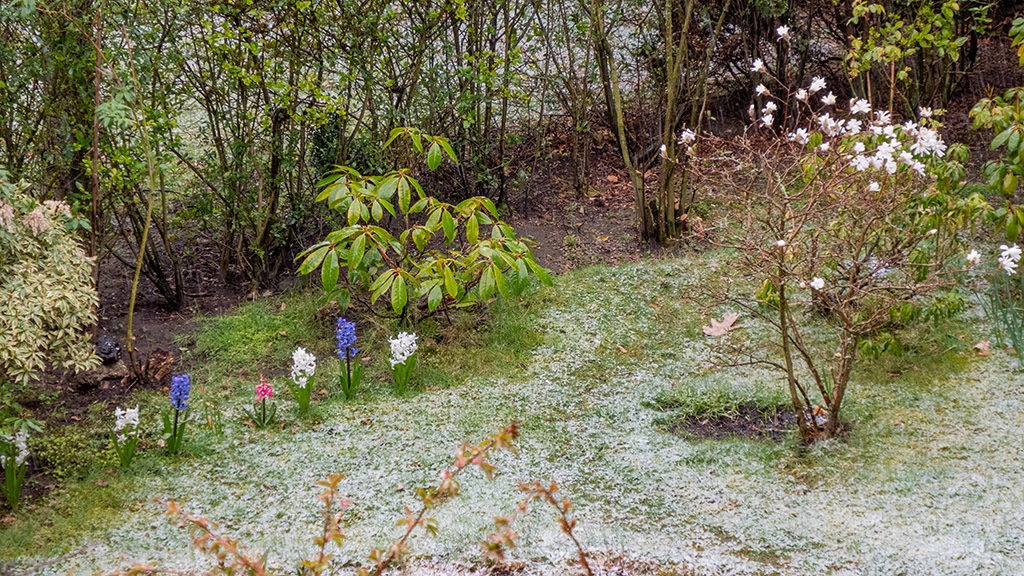29.03.20 - Ein Hauch von Schnee 01.jpg