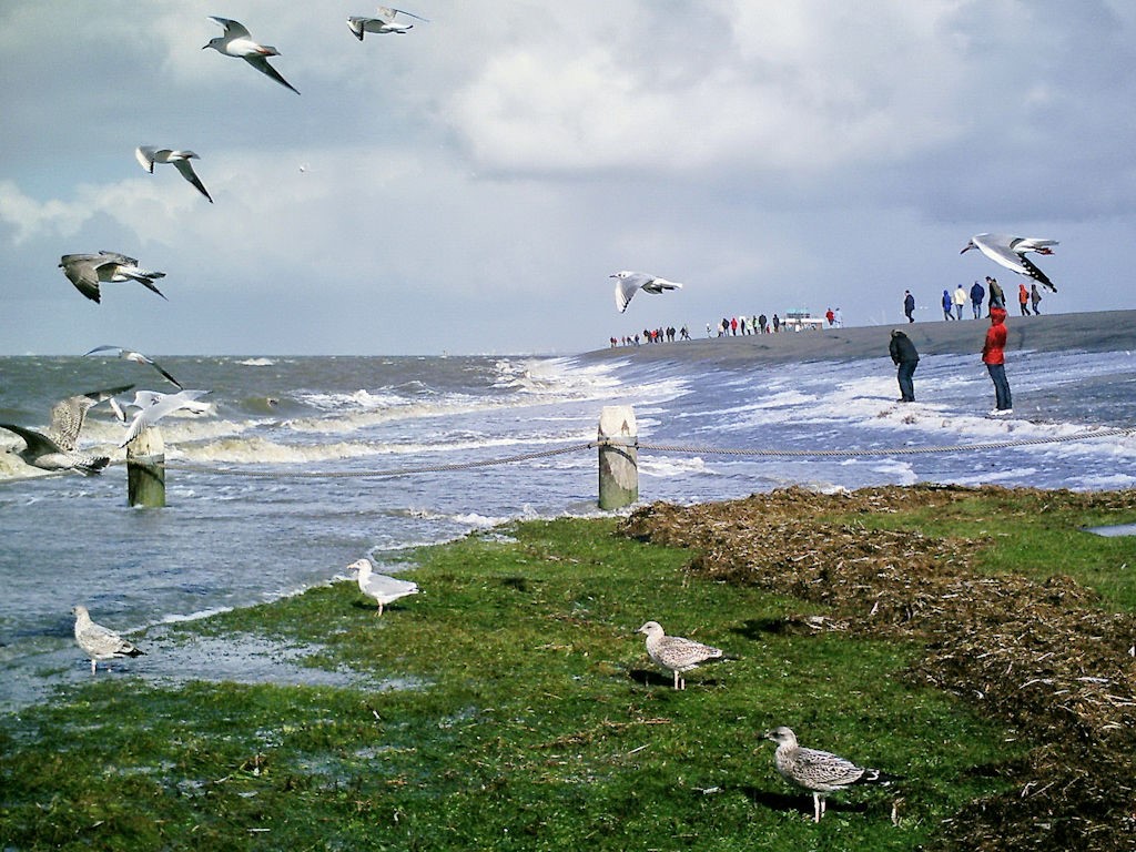 Hochwasser.jpg