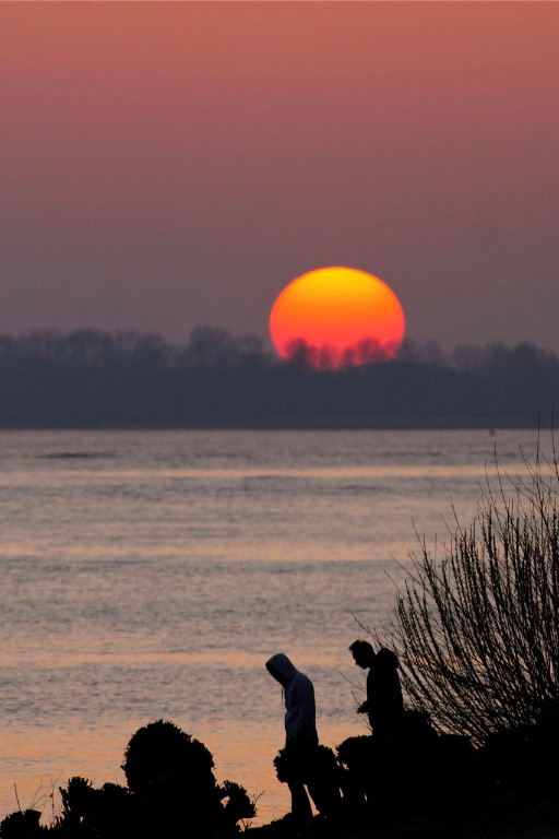 Zwei an der Elbe.jpg