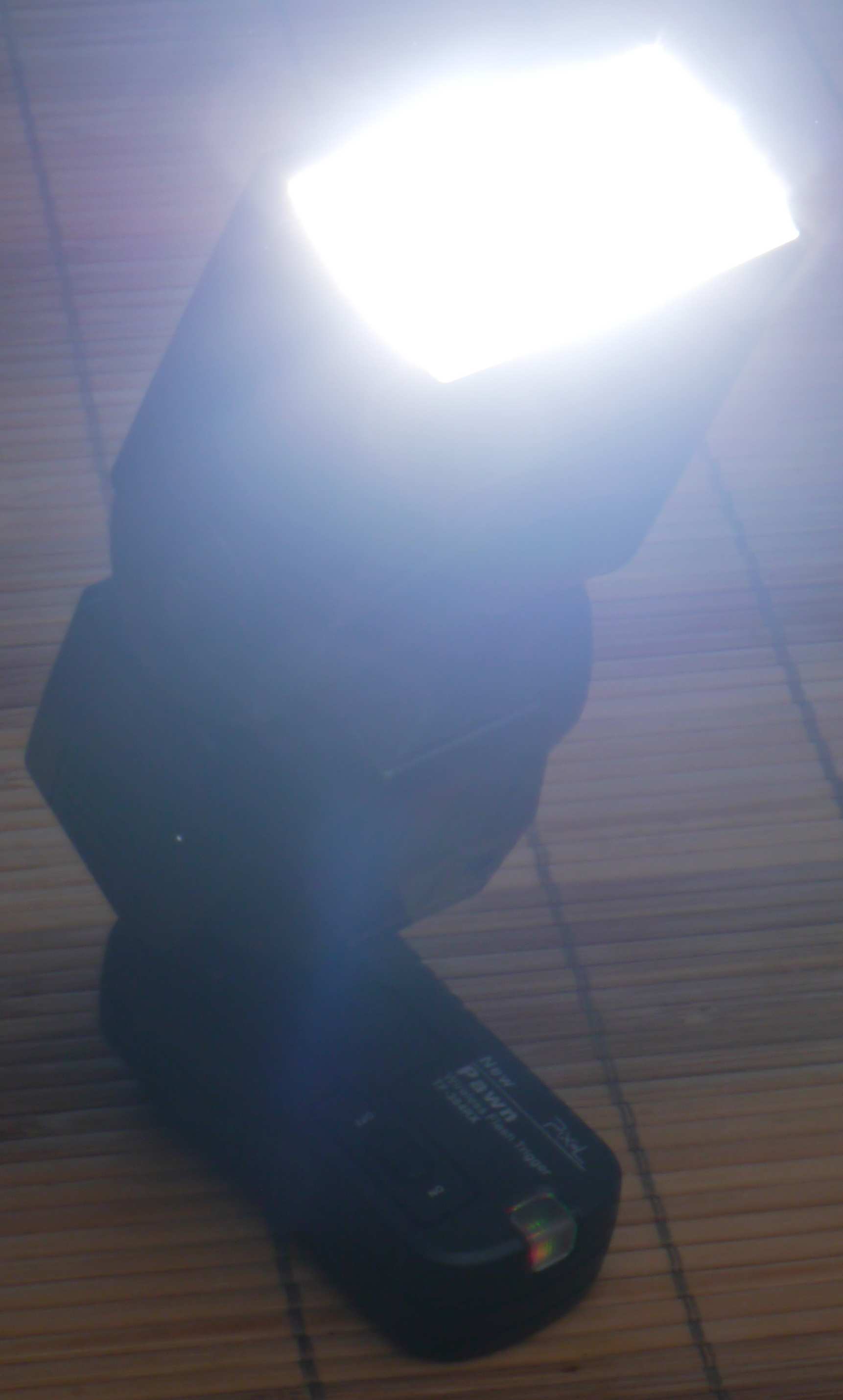 P1010037.1.JPG