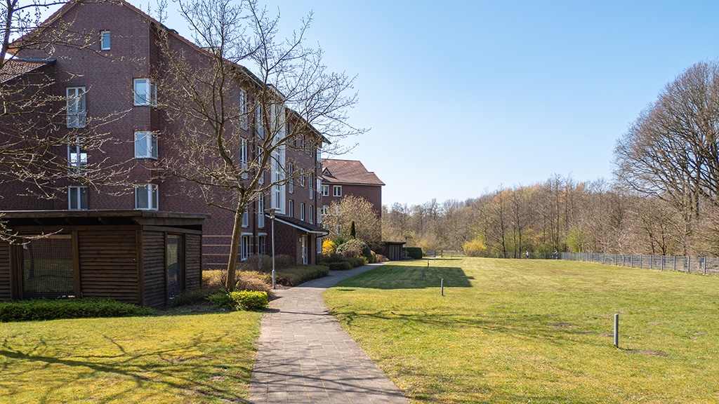 unser Hinterhof.jpg