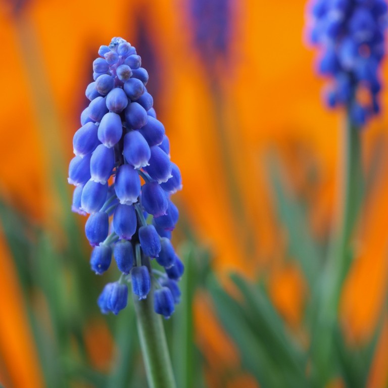 P1000103_PSE14_Lumix_Forum (1024x1024).jpg