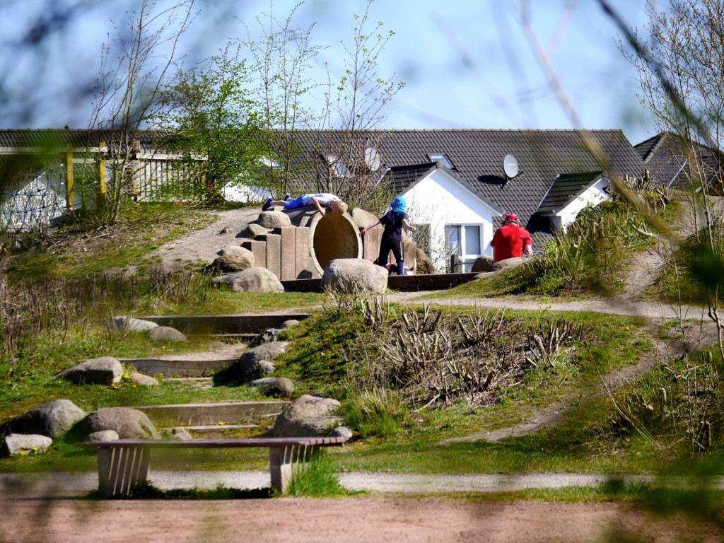 Hundetunnelflitzerei.jpg