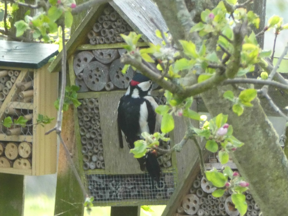 comp_P1290274-2.jpg