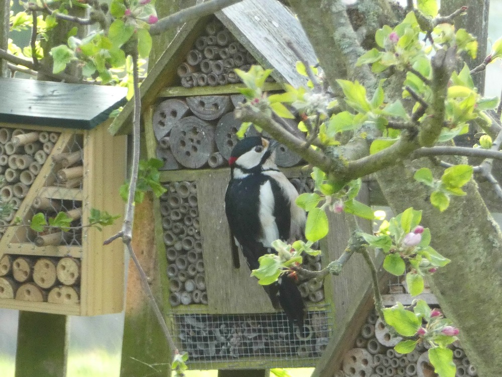 comp_P1290275-2.jpg