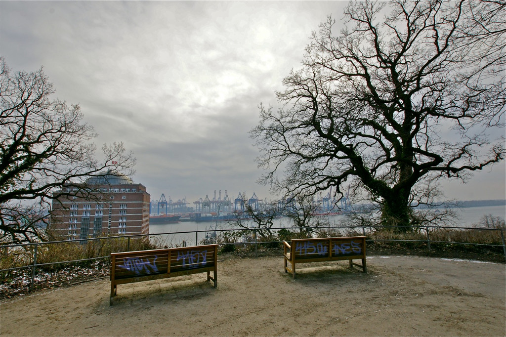 Rosengarten - Blick aufs Augustinum.jpg