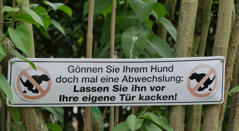 P1010367 - 1 - 2.JPG