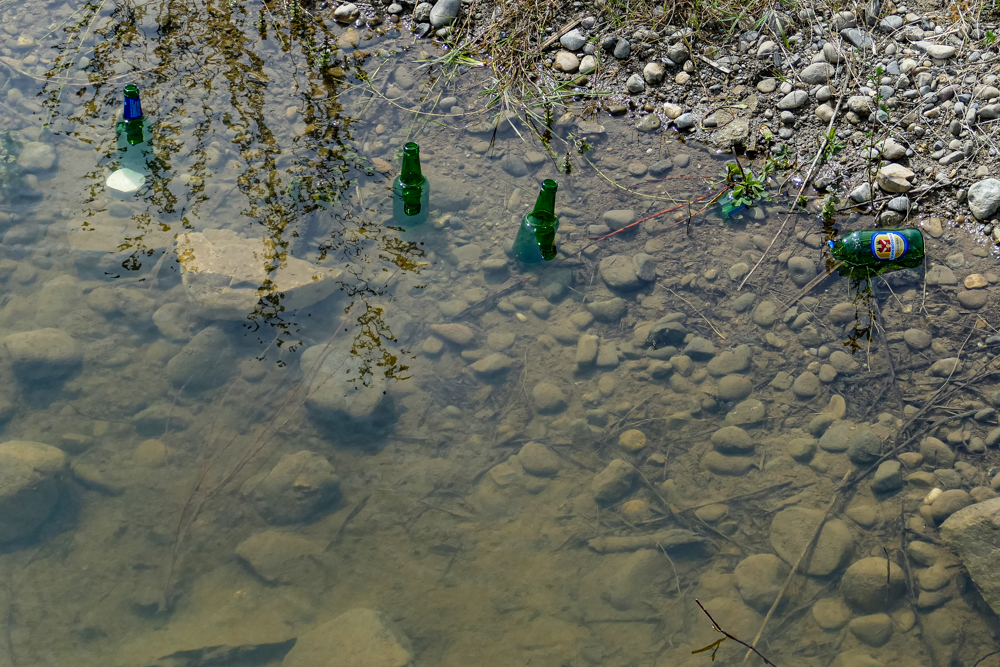 P1050047.jpg